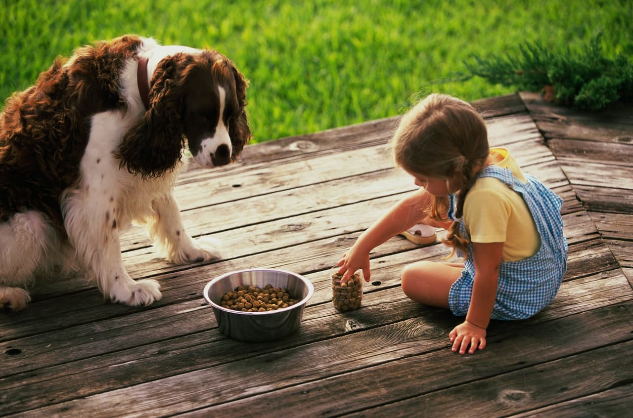 ¿Puedes pagarlo? Tener un gato o un perro implica una boca más que alimentar, así como muchos otros gastos.