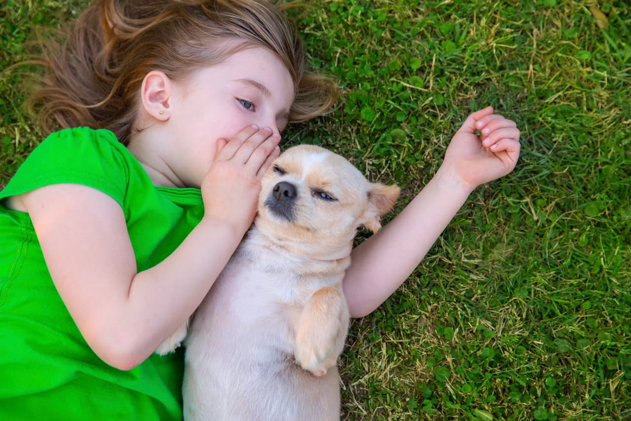 Costo anual. Según la ASPCA, un perro pequeño podría implicar gastos mínimos de $1,314 dólares el primer año. Uno mediano, $1,580 y uno grande, $1,843.