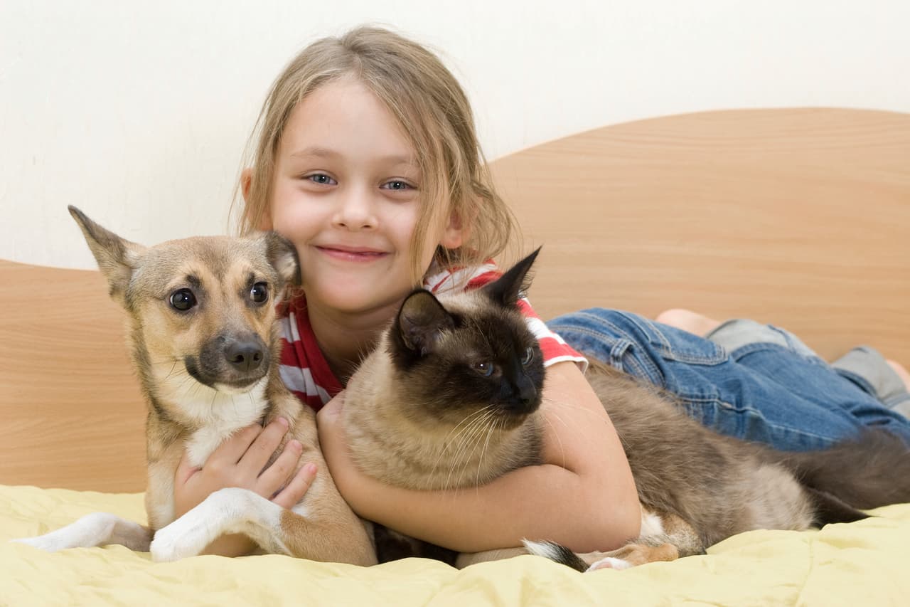 Revisa los ‘tips’ de la Sociedad Americana Para la Prevención de la Crueldad contra los Animales (ASPCA, por sus siglas en inglés), más algunas preguntas que deberías hacerte antes de adoptar.