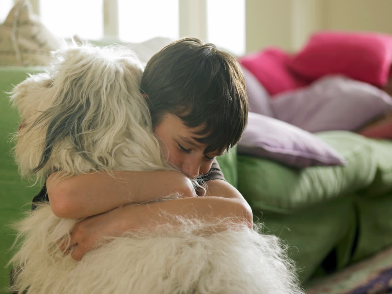 ¡Paciencia! La cantidad de preguntas tiene dos finalidades: por un lado, encontrar un hogar permanente para los animales, asegurándose que no vuelvan a abandonarlos. Por otro, encontrar a la mejor mascota para ti, y al mejor dueño para cada mascota.