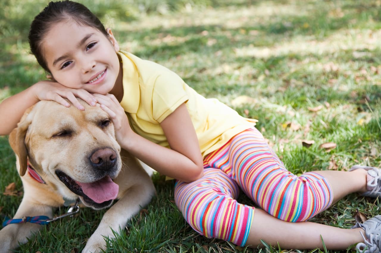 ¿En tu familia insisten en adoptar un perro o un gato? Más allá del gesto solidario, debes saber que requiere de mucha responsabilidad y algunos preparativos. Antes de ir por el nuevo miembro del hogar, checa estos consejos.