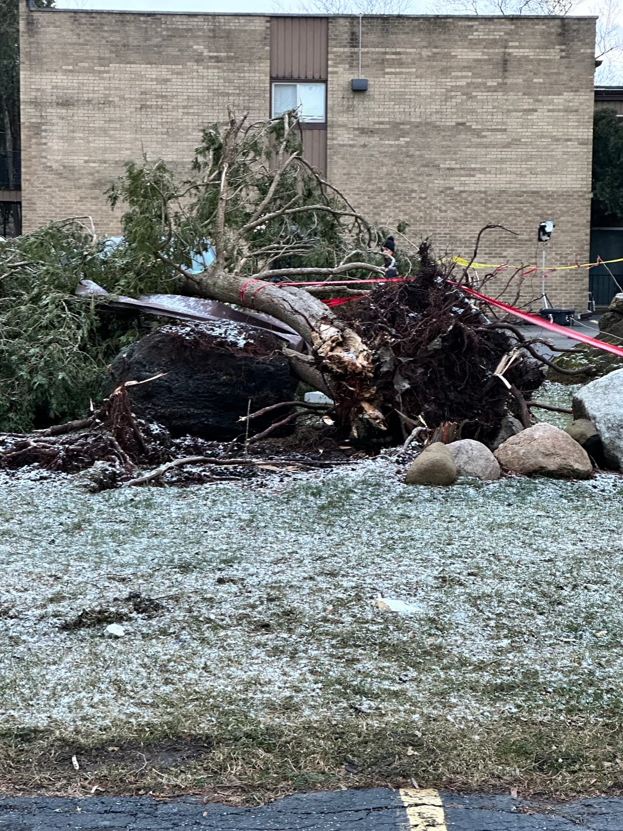 En Mundelein, el suburbio al norte de Chicago, también se reportaron árboles caídos y arrancados desde la raíz.