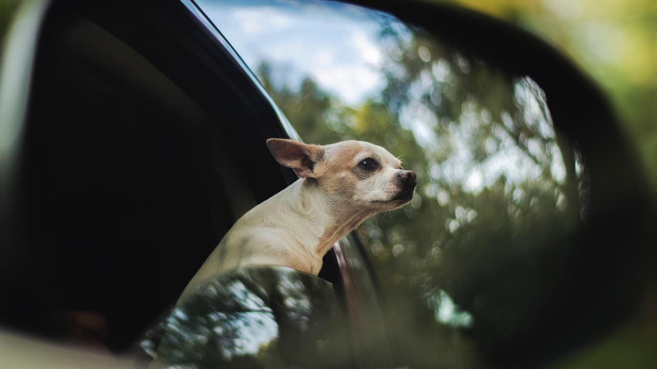 Sé consciente sobre el uso del aire acondicionado ya que disminuye la potencia y obliga a trabajar más al motor. Pero si manejas por la autopista es mejor encenderlo que bajar la ventanilla