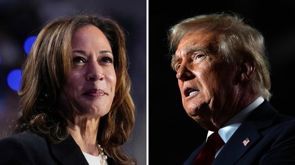 ¿Todavía no tienes claro por quién votar? Esto proponen Harris y Trump en las materias que más preocupan en EEUU