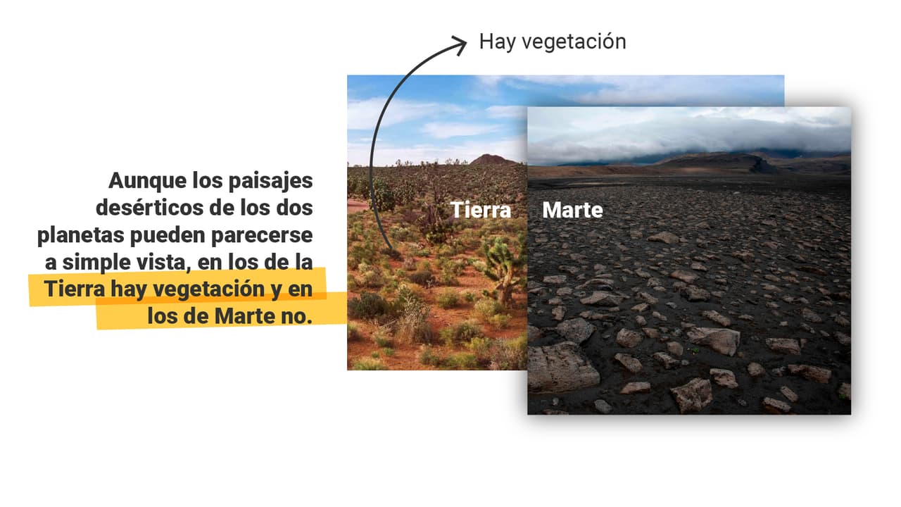 <a href="https://www.univision.com/noticias/el-video-de-la-llegada-del-robot-perseverance-en-marte-no-es-un-montaje-verificado-por-el-detector">Aquí puedes leer la explicación completa. </a>