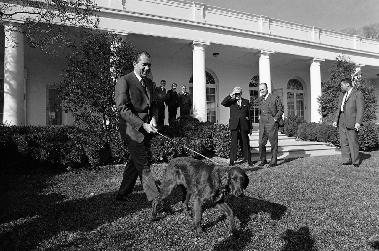 Richard Nixon llevando al 
<i>Irish Sette</i>r 'Tim' por el Jardín de las Rosas de la Casa Blanca. El sucesor de Johnson tuvo cuatro perros y renunció a la presidencia en 1974.