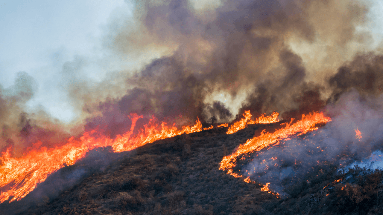 <h2 class="cms-H2-H2">¿Qué cosas debe tener tu kit de emergencia?</h2>
<br>
<br>Prepara tu kit antes de cualquier incendio o desastre y mantenlo accesible para que lo puedas llevar contigo en una emergencia.
<br>
<br>- Cubrebocas
<br>- Medicinas y un kit de primeros auxilios
<br>- Un cambio de ropa
<br>- Un juego extra de las llaves del auto
<br>- Tarjetas de crédito y efectivo
<br>- Una linterna
<br>- Un radio
<br>- Baterías
<br>- Documentos importantes como actas de nacimiento y pasaportes
<br>- Raciones de agua y comida para tres días por persona y mascota
<br>- Mapa con las rutas de evacuación localizadas