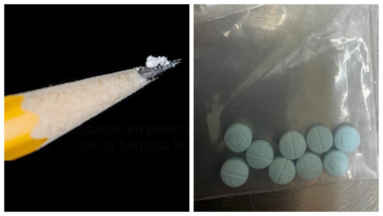 Según Tyson Hodges, agente especial de la Administración de Control de Drogas (DEA, por sus siglas en inglés), las píldoras que aparentan ser medicamentos recetados, contienen fentanilo y una dosis letal de fentanilo es de dos miligramos, equivalente al tamaño de unos granos de sal. 