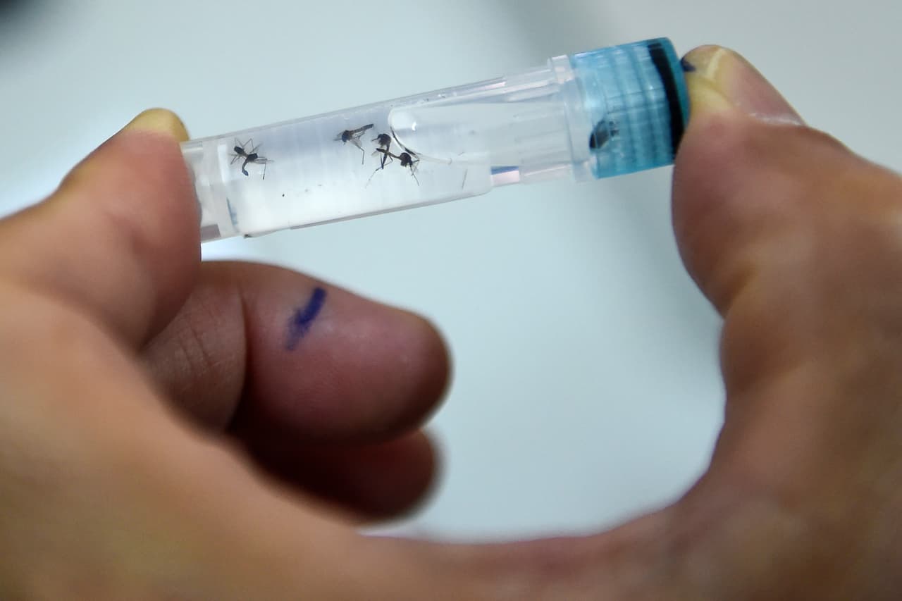 Casos de Chikungunya adquiridos en Florida: No se han reportados casos este 2023.