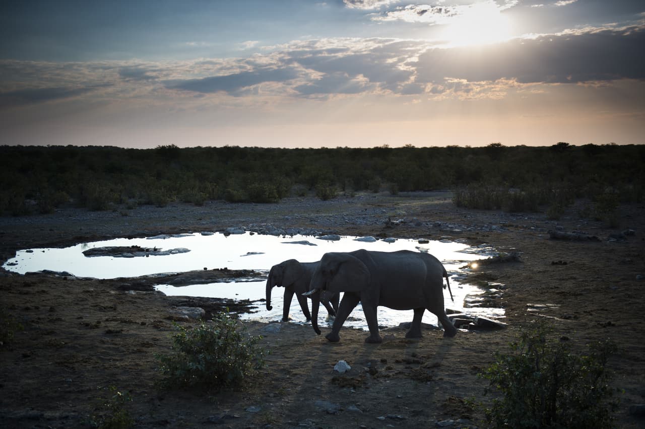 <b>Namibia, al suroeste de África</b> ofrece al viajero experiencias naturales sin costo: la contemplación de inolvidables cielos estrellados, la observación en primera fila de la vida salvaje de la sabana africana, excursiones por el Cañón del Río Fish y la posibilidad de surfear en las cunas de Sossusvlei. | Foto: Getty Images. 
<br>