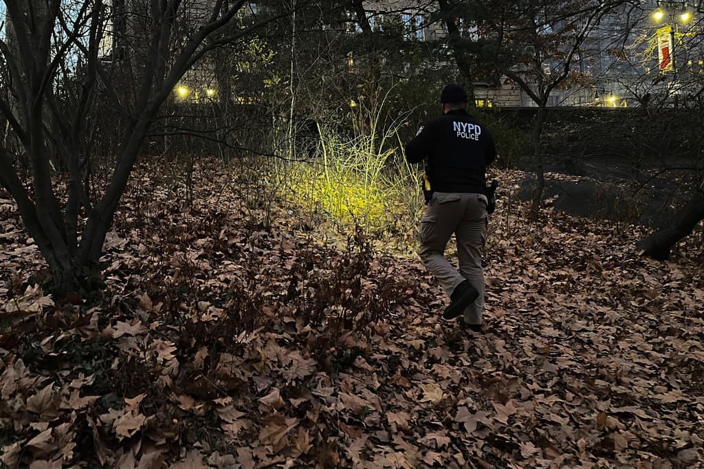 Los detectives del caso sabían que 
<b>el asesino del</b> 
<b><a href="https://www.univision.com/noticias/estados-unidos/quien-era-brian-thompson-ejecutivo-seguros-salud-asesinado-nueva-york" target="_blank">ejecutivo de 50 años</a></b> 
<b>estuvo en Central Park</b> antes de escapar de la ciudad de Nueva York. Una búsqueda el viernes 6, por la zona conocida como Central Park West, se extendió a través del parque, tras
<b> la mochila que cargaba el atacante</b> y que se sospechaba había dejado abandonada.