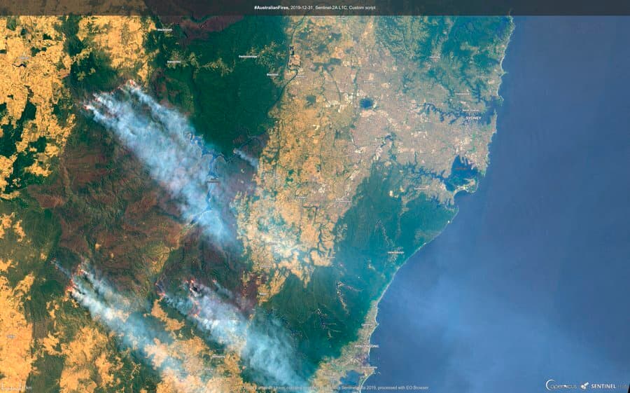 El humo visto desde el espacio alrededor de la ciudad de Sydney, al este de Australia. Los incendios también arrasan los estados de Australia Occidental, Australia Sur y Tasmania. 
<a href="https://www.univision.com/noticias/medio-ambiente/las-quemaduras-empeoraron-y-no-iban-a-mejorar-muere-el-koala-que-se-hizo-viral-luego-de-ser-rescatado-del-fuego-fotos-fotos">El fuego ha consumido zonas donde habitan algunas especies vulnerables</a>.