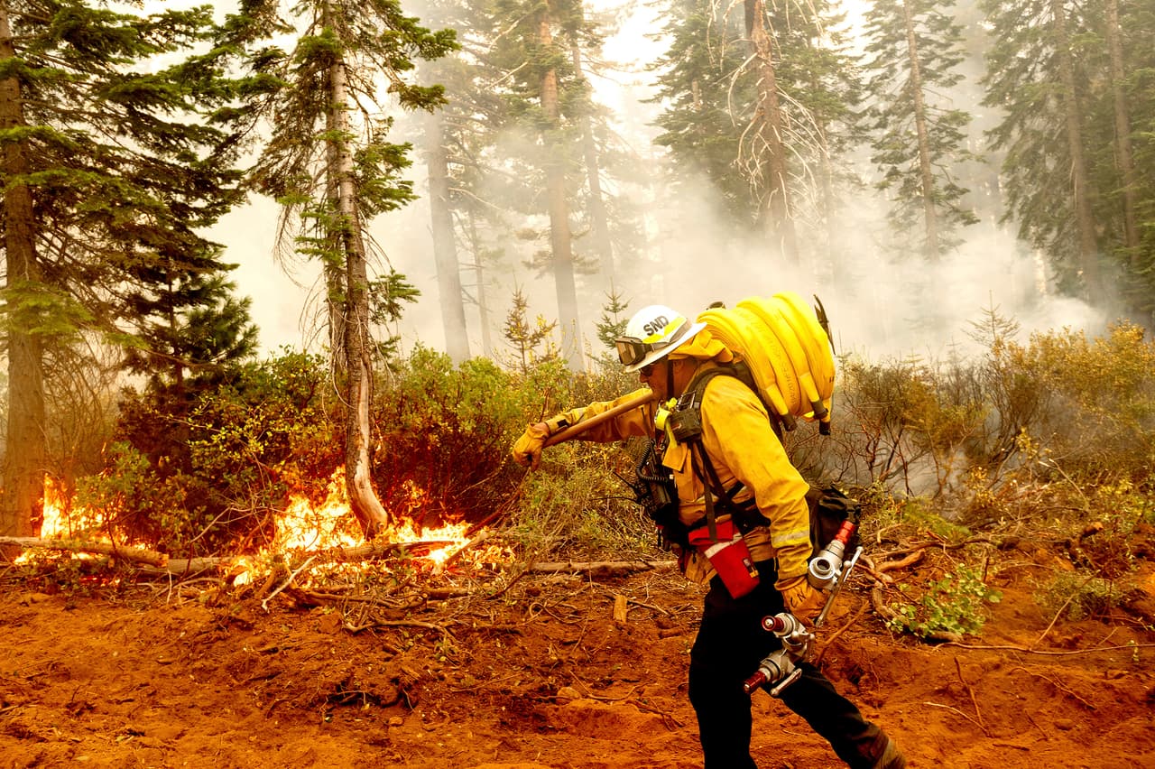 El jefe del Batallón de Bomberos de Cal, Craig Newell, 
<b>lleva una manguera mientras lucha contra el incendio</b> del Complejo Norte en el Bosque Nacional Plumas, California.