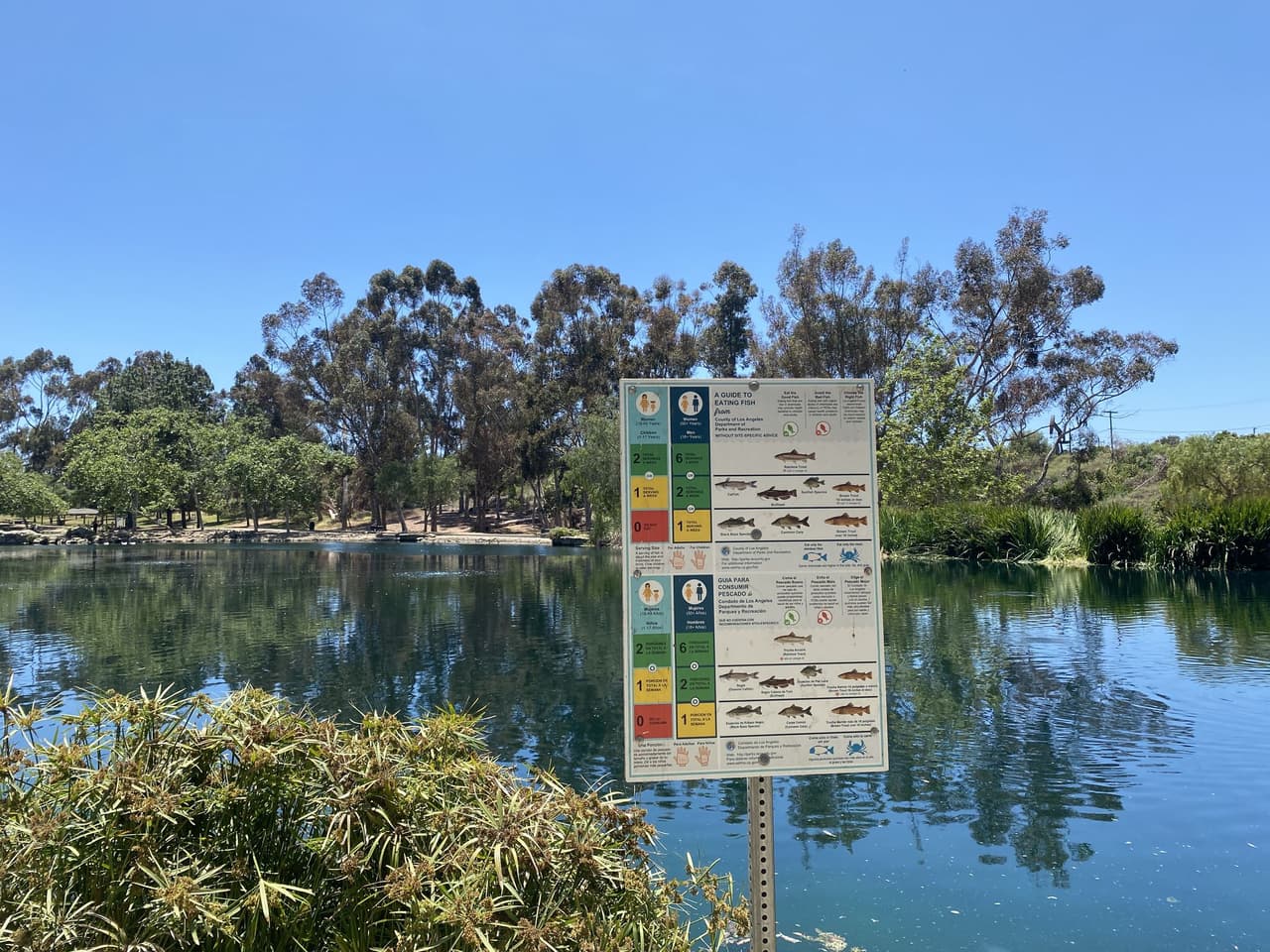 Por ejemplo, descansar junto a un lago también puede convertirse en una experiencia educativa, pues hay afiches con información sobre el tipo de peces que lo habitan, entre otros datos.