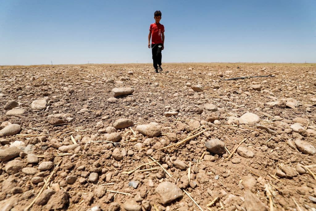 Estudio: niños de hoy enfrentarán tres veces más desastres climáticos que sus abuelos