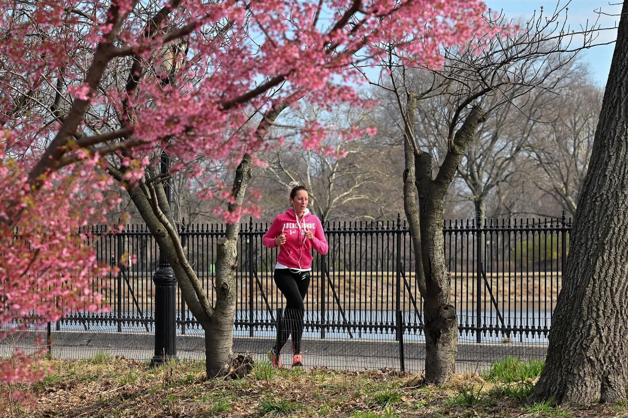 Central Park
<br>¡Hay muchas cosas divertidas para hacer en Central Park durante la primavera! Puedes alquilar una citibike y pasear por el parque, hacer un picnic y recoger el almuerzo cerca, o alquilar un paseo en bicicleta con un conductor que te lleve a recorrer el parque.
