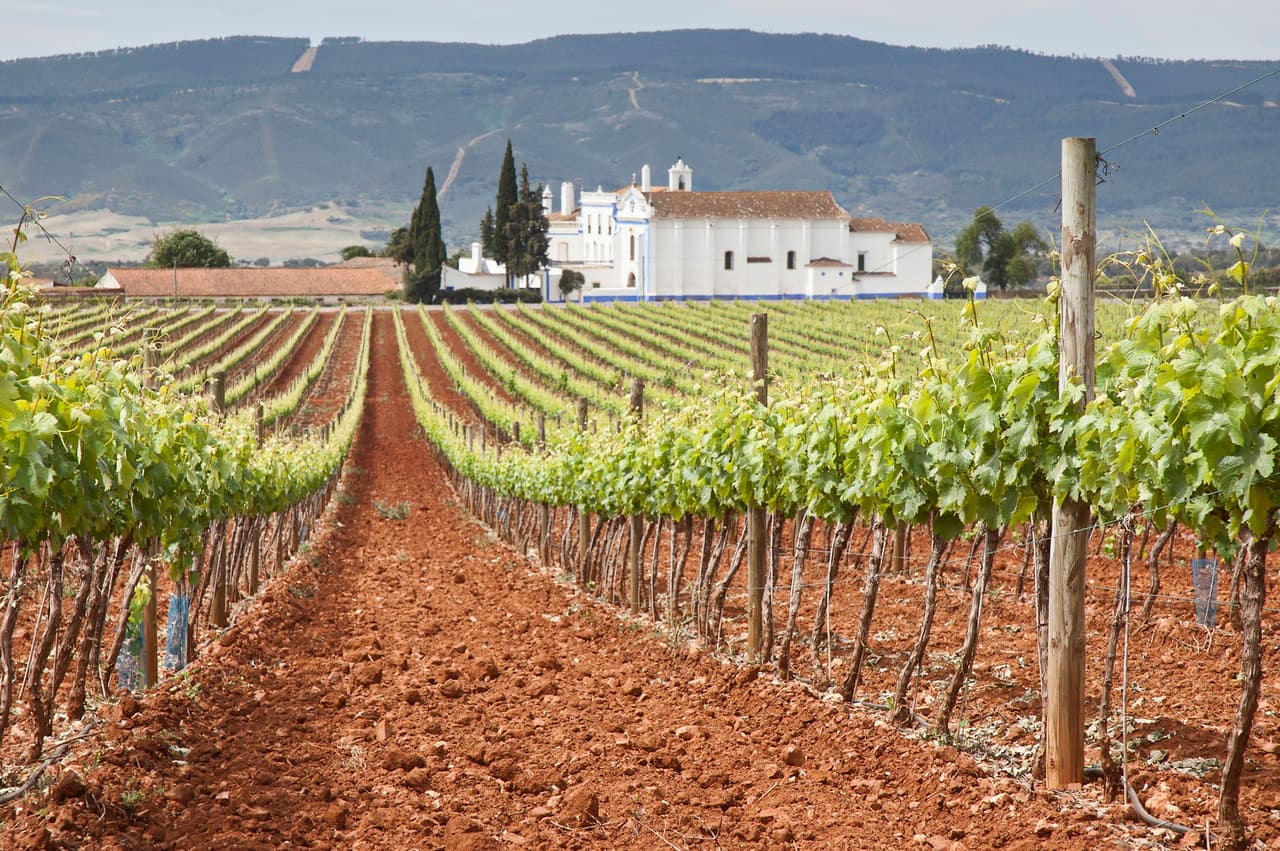 <b>Región vinícola de Alentejo (Portugal)</b>
<br>
<br>Los amantes del vino cuentan con este poco conocido y peculiar destino turístico, afectado en los últimos años por el calentamiento global y la sequía. Sus visitantes pueden conocer y apoyar el Programa de Sostenibilidad Vinos del Alentejo, que prioriza la conservación del agua.
<br>