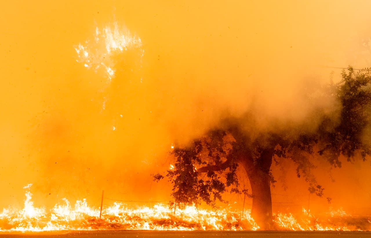 El tercer incendio más grande actualmente es el CZU Lightning en los condados de Santa Cruz y San Mateo ha quemado 63,000 acres y está contenido en un 5 por ciento. Ha quemado 97 estructuras y amenaza a casi 24.000 más.