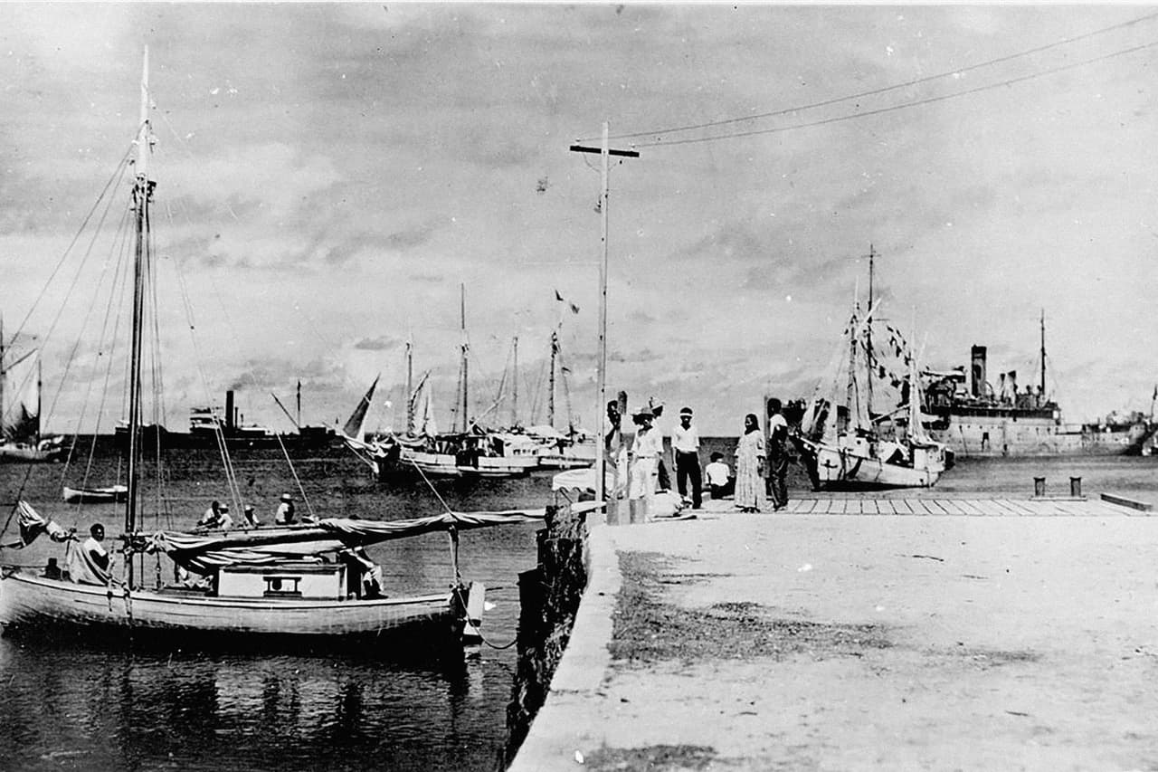 La foto fue tomada en el Atolón Jaluit, en las Islas Marshall, en el océano Pacífico y muestra a una persona de espaldas sentada que podría ser la aviadora. Además, en la izquierda de la imagen, junto a poste, se ve una figura que podría ser Fred Noonan, su acompañante en el último vuelo. El productor ejecutivo del documental Gary Tarpinian explicó su teoría a la cadena NBC: 
<b>Earthart pudo ser trasladada “por un barco japonés desde las Marshall a Saipán (Islas Marianas) y que murió bajo custodia de los japoneses”.</b>