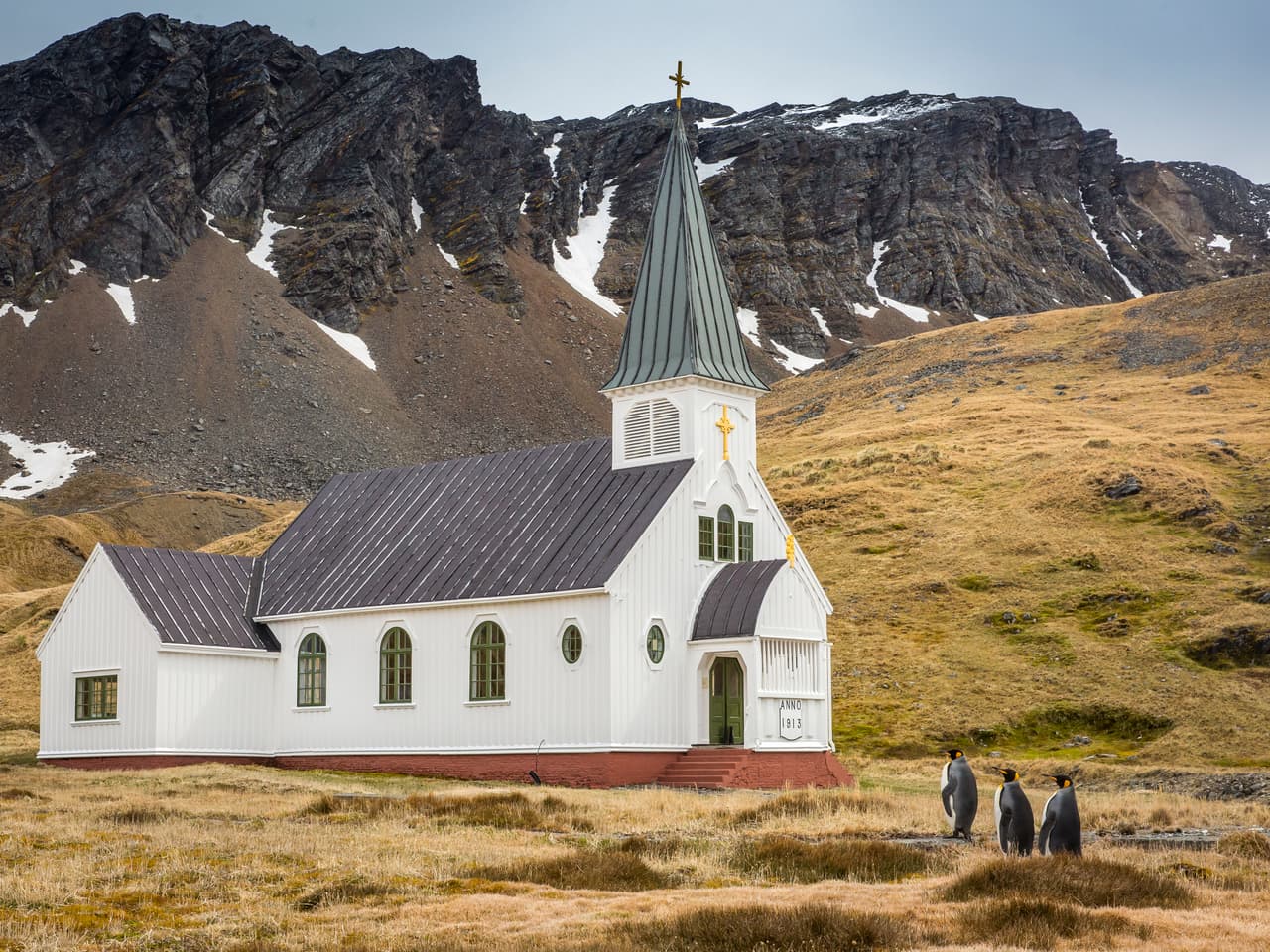 Tres pingüinos rey se acercan a la única iglesia en la isla de Georgia del Sur y parece que van a misa. 
<b>Carl Henry / CWPA / Barcroft</b>