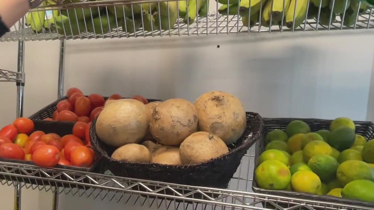 Anuncian nuevo programa para orientar sobre ayudas alimentarias 