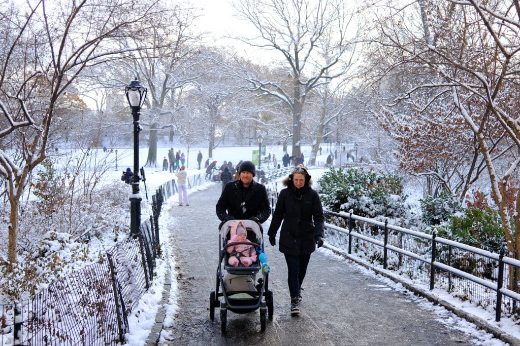 <b><a href="https://www.univision.com/local/nueva-york-wxtv/asesino-del-ceo-de-unitedhealthcare-deja-pistas-embalse-central-park-nueva-york-fotos" target="_blank">La situación en Manhattan, pero en Central Park, era distinta</a></b>, apreciándose aún más la acumulación de nieve que transforma el paisaje.