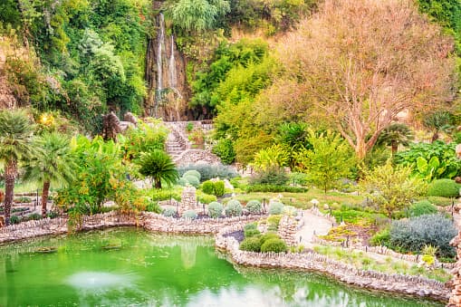 El jardín se denominó estanque de nenúfares y los residentes locales donaron bulbos para embellecer el área.