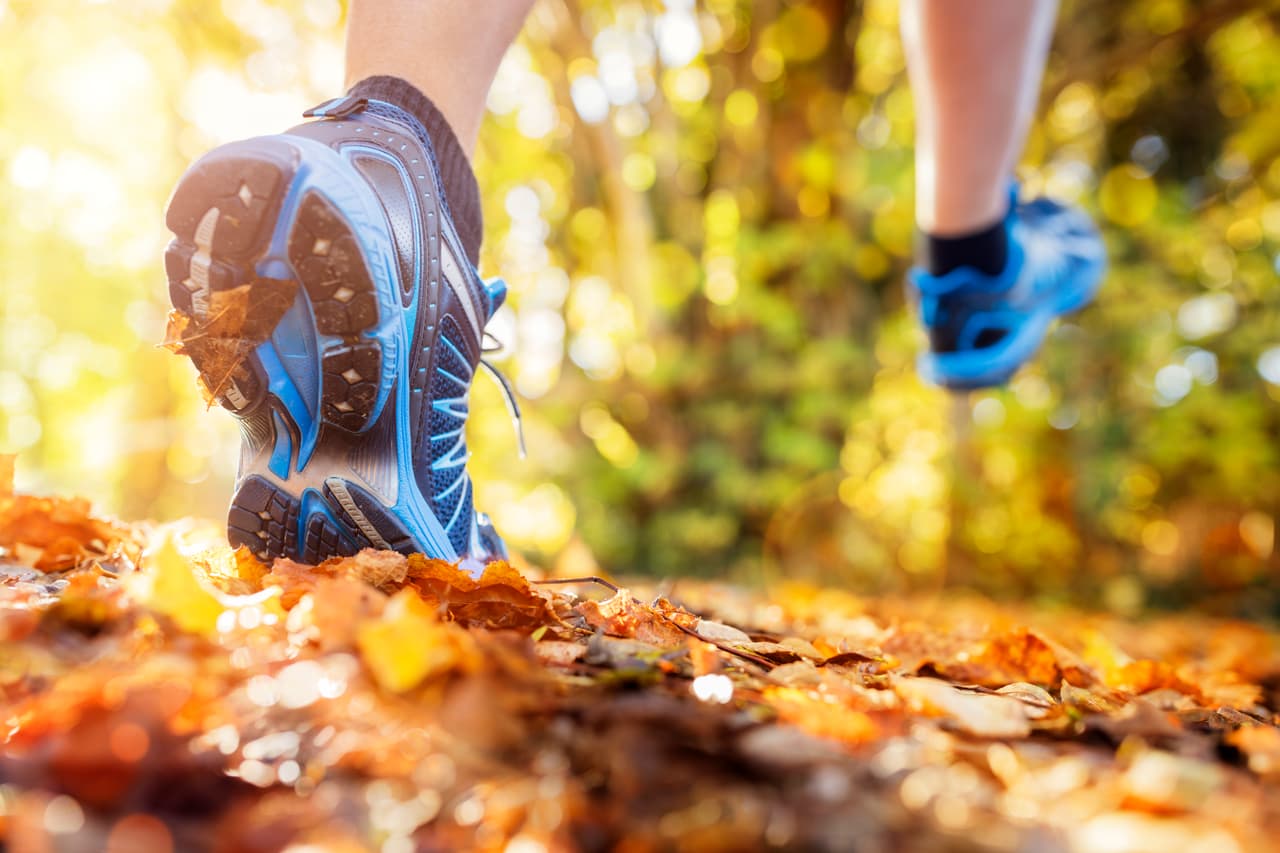 <b>Sal a correr: alarga la vida </b>
<br>Por cada hora de 
<i>running</i> se añaden siete a la expectativa de vida, 
<a href="https://www.ncbi.nlm.nih.gov/pubmed/28365296">de acuerdo con un contundente estudio</a> publicado hace unos meses. 
<b>Da igual si se corre a un ritmo bajo o de forma esporádica; </b>las horas que pasemos trotando se sumarán multiplicadas por siete a la esperanza de vida. 
<b>Incluso cinco minutos diarios de carrera se asocian con más años de vida. </b>