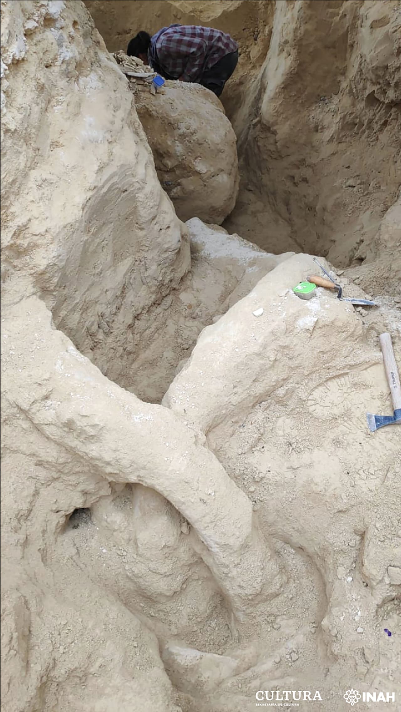 Especialistas trabajando en el área donde fueron encontrados los restos del mamut. 
<br>
<br>El biólogo mexicanoIván Alarcón Durán acudió al sitio para hacer la inspección y verificó que se trataba de “huesos de megafauna del Pleistoceno”, 
<a href="https://www.univision.com/noticias/ciencia/proyecto-cientifico-colossal-busca-revivir-al-mamut-lanudo-genetica-ciencia"><u>animales de gran tamaño que existieron hace 10,000 años</u></a>.