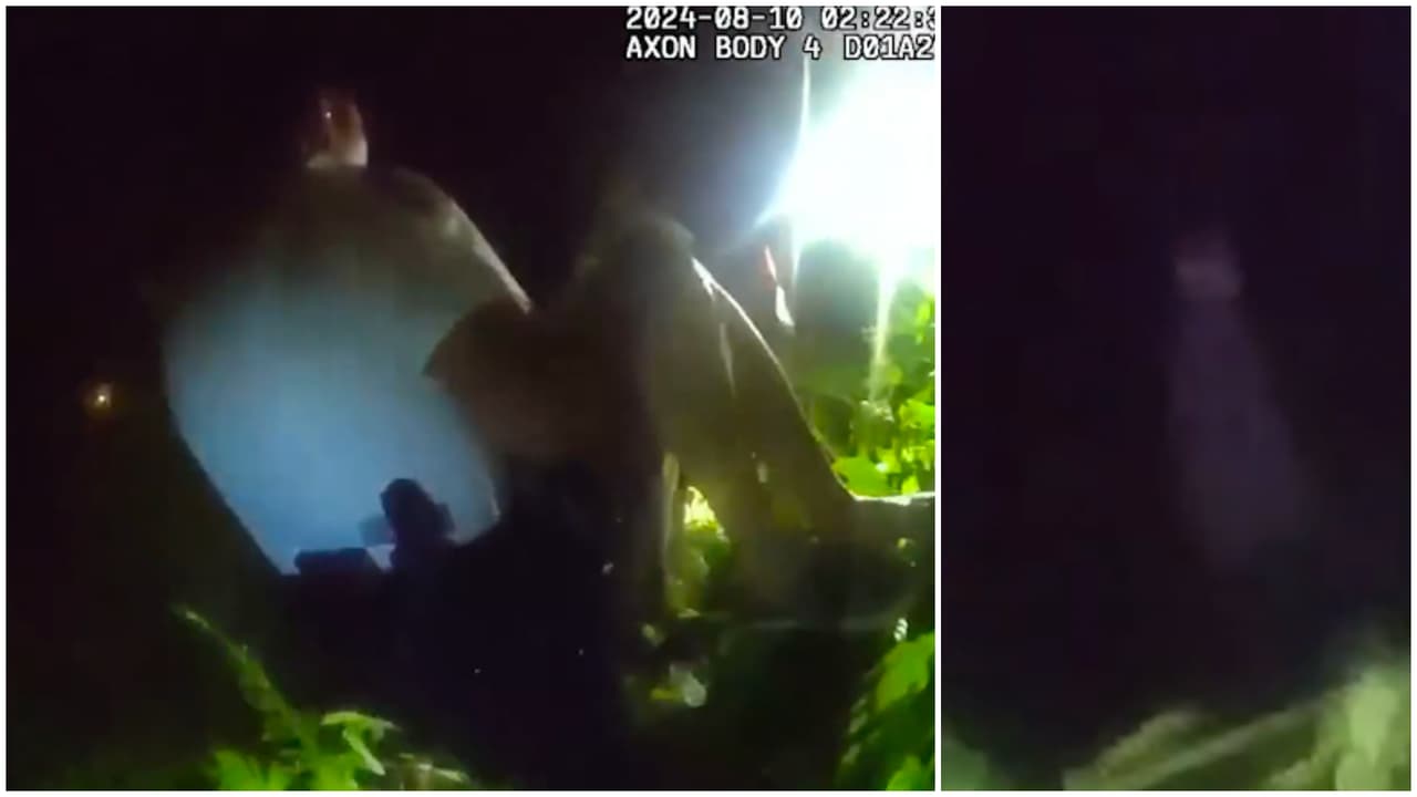 Así fue el momento en que localizaron a hispana que se perdió en una zona boscosa