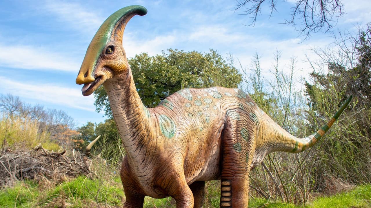 El 
<a href="https://maps.app.goo.gl/fL7pGSk3giPKe6qu6" target="_blank">Zoológico de Dallas </a>está preparando 
<b>un fin de semana espectacular lleno de diversión y fascinación prehistórica </b>para conmemorar el Día Nacional de los Dinosaurios. Con 
<b>una de las exhibiciones de dinosaurios más grandes y envolventes del país</b>, el zoológico invita a los amantes de los gigantes del pasado a sumergirse en un mundo de aventuras jurásicas 
<b>los días sábado 1 y domingo 2 de junio</b>.