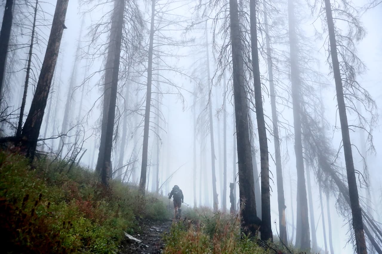 Muchos de los monumentos y parques nacionales más famosos de Estados Unidos, incluidos algunos como Grand Teton, Glacier, Yellowstone y Arches, registraron un número récord de visitas en 2021. Sin embargo, si bien las visitas superaron las cifras de 2020 en 60 millones, el sistema de parques en su conjunto no logró captar el interés previo a la pandemia e incluso algunos estuvieron desiertos. 
<br>
<br>El sitio 247WallSt.com revisó los Informes anuales de visitas del Servicio de Parques Nacionales para 2020 y 2021 y calculó el cambio porcentual en las visitas recreativas en cada sitio de 2020 a 2021. También incluyó las visitas en cada sitio como un porcentaje del total de visitas a parques en todo el país. Estos son los resultados.
<br>