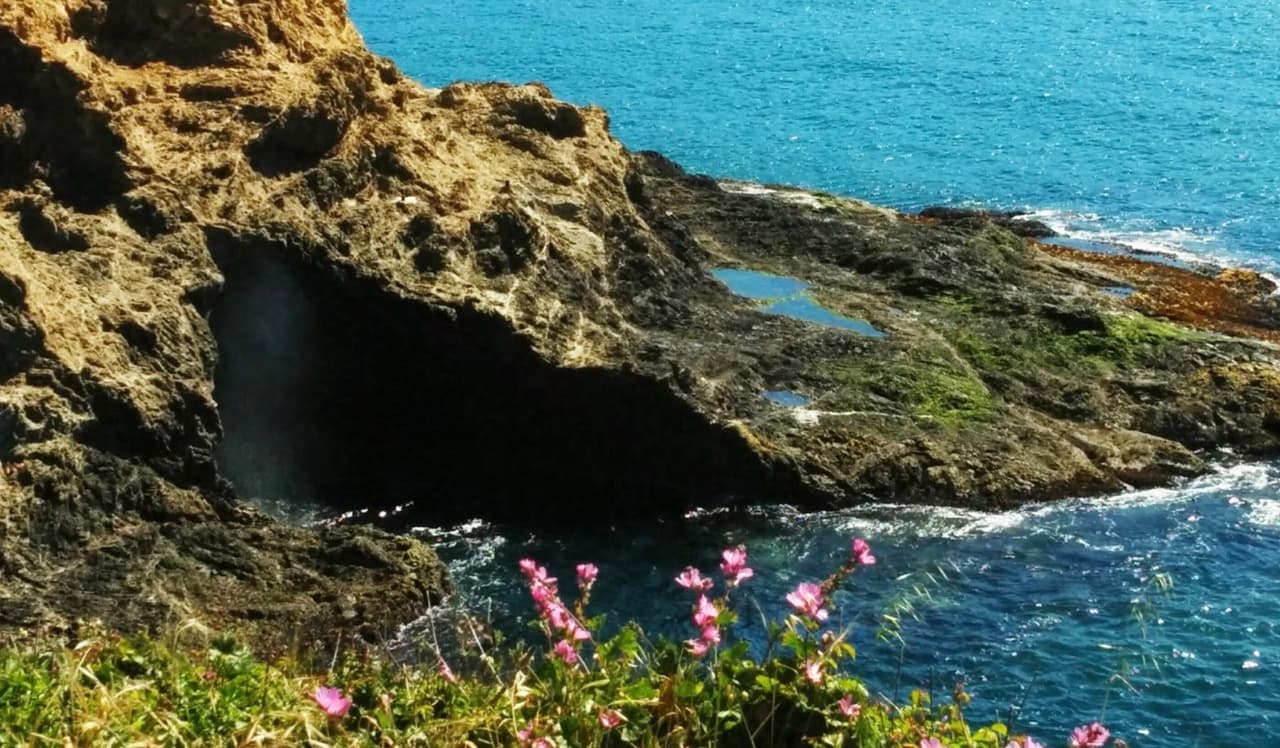 <b>En el condado de Mendocino, </b>la mayoría de las playas se encuentran bajo la administración del Servicio de Parques de California y se mantendrán cerradas hasta el 15 de mayo. Por el momento el sendero 
<b><a href="https://documents.coastal.ca.gov/assets/covid-19/Coastal-Zone-Beach-Restrictions.pdf" target="_blank">Moat Creek Beach</a></b> está abierto para excursionistas y caminantes.
