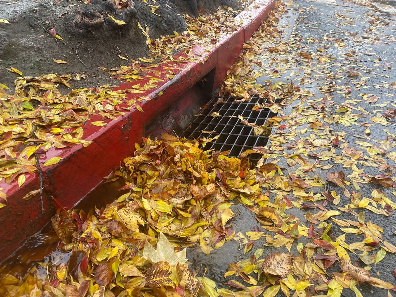 Recoja las hojas y escombros que pudieran obstruir los desagües pluviales para 
<b>evitar que se inunden las calles </b>y que se forme el peligroso hielo negro que vuelve más resbaladizo el pavimento e impide controlar adecuadamente los automóviles.
