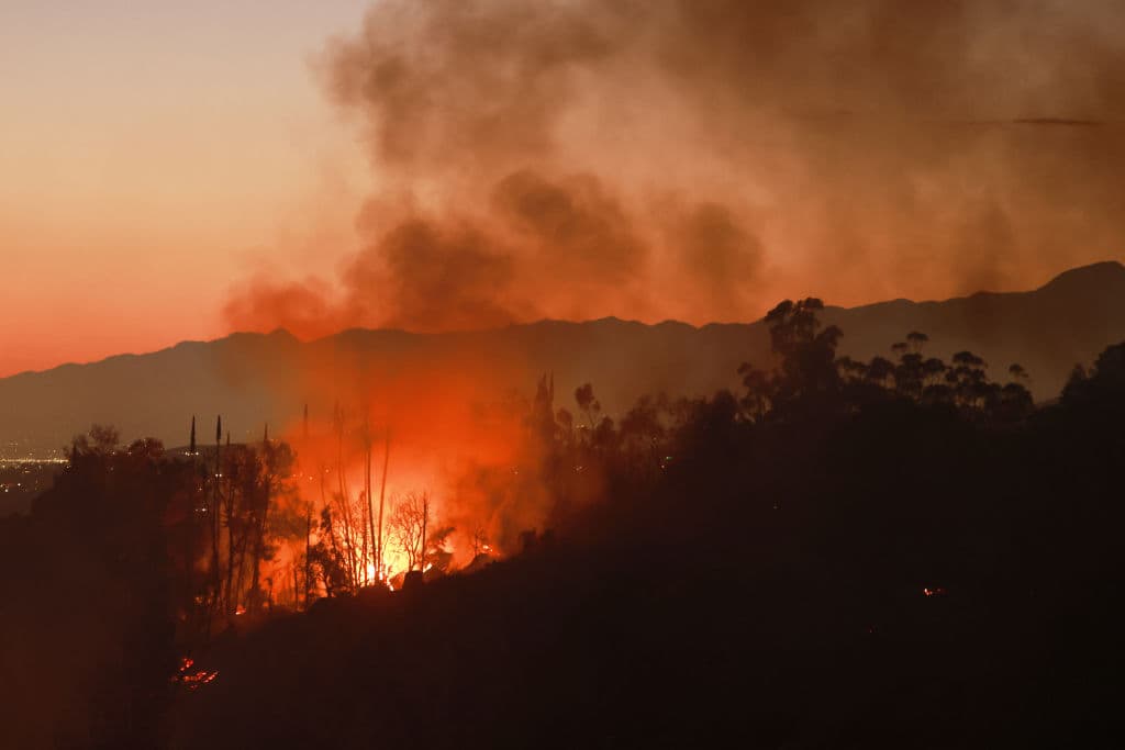 Según la investigación oficial, el incendio, que se extendió más de 500 acres, fue causado por una explosión ilegal de 
<b><a href="https://www.univision.com/local/los-angeles-kmex/cuidado-con-los-fuegos-artificiales-esto-es-lo-que-debes-saber-sobre-su-uso-en-los-angeles-video" target="_blank">fuegos artificiales</a></b>.