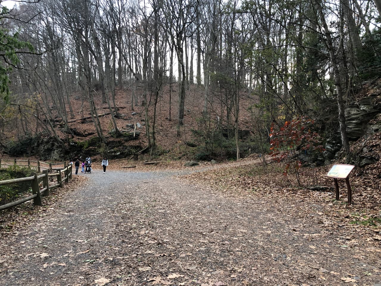 <b>Explore el aire libre- </b>Al igual que en años anteriores, la empresa de recreación al aire libre REI está utilizando el hashtag #OptOutside para alentar a los clientes a caminar, acampar o simplemente hacer actividad al aire libre. Según REI, más de 15 millones de personas se han comprometido a pasar su Black Friday disfrutando del aire libre desde que comenzó la campaña en 2015.