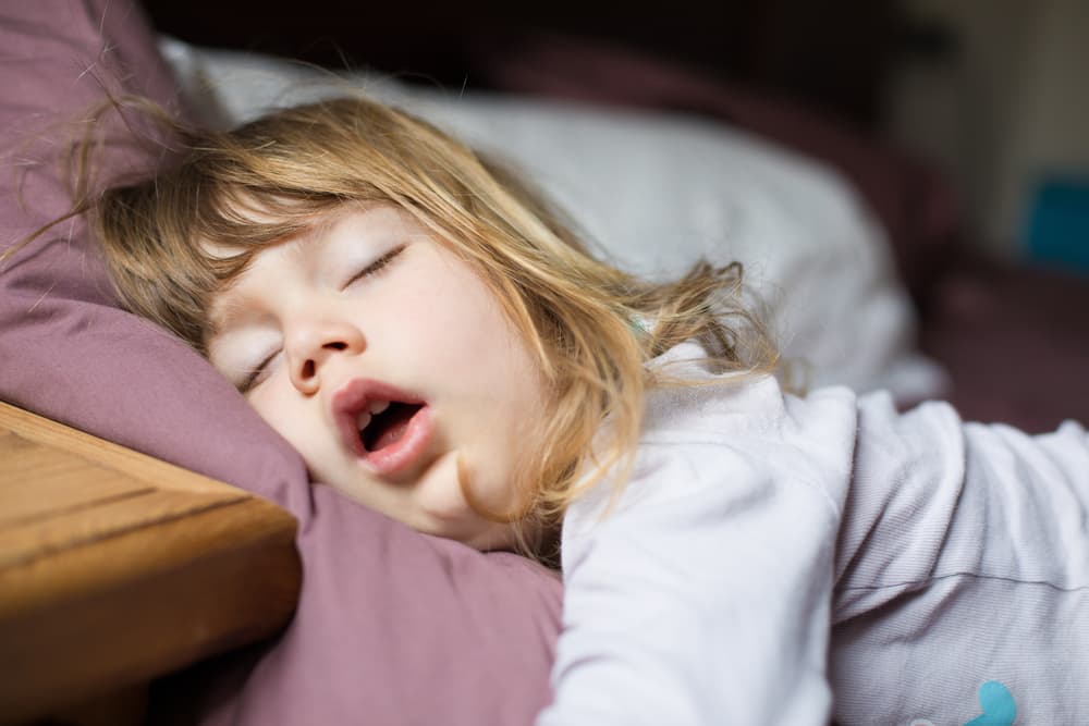 <h3 class="cms-H3-H3">Soñar que tus hijos tienen piojos</h3>
<br>Esto no puede ser tan preocupante, sino algo más positivo, como que estás preocupado por su cuidado, atento a sus necesidades, que estás listo para cuidarlo y atenderle a toda hora, pendiente de que no les pase nada. (O bueno, un recordatorio de que deben bañarse mejor).