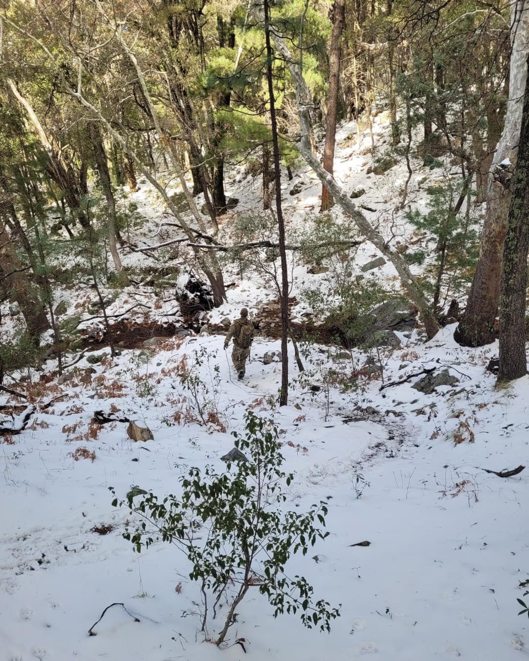 Agentes de BORSTAR del sector de Tucson respondieron a una llamada al 911 y rescataron a un ciudadano mexicano de 25 años en peligro cerca de Madera Canyon.