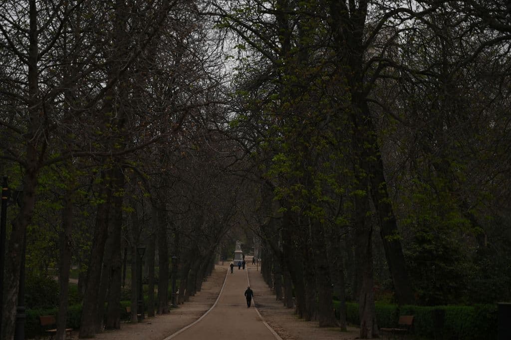 En el emblemático 
<b>Parque del Retiro de Madrid</b>, la arena oscureció el ambiente, ofreciendo un paisaje un tanto marciano, como de Marte.