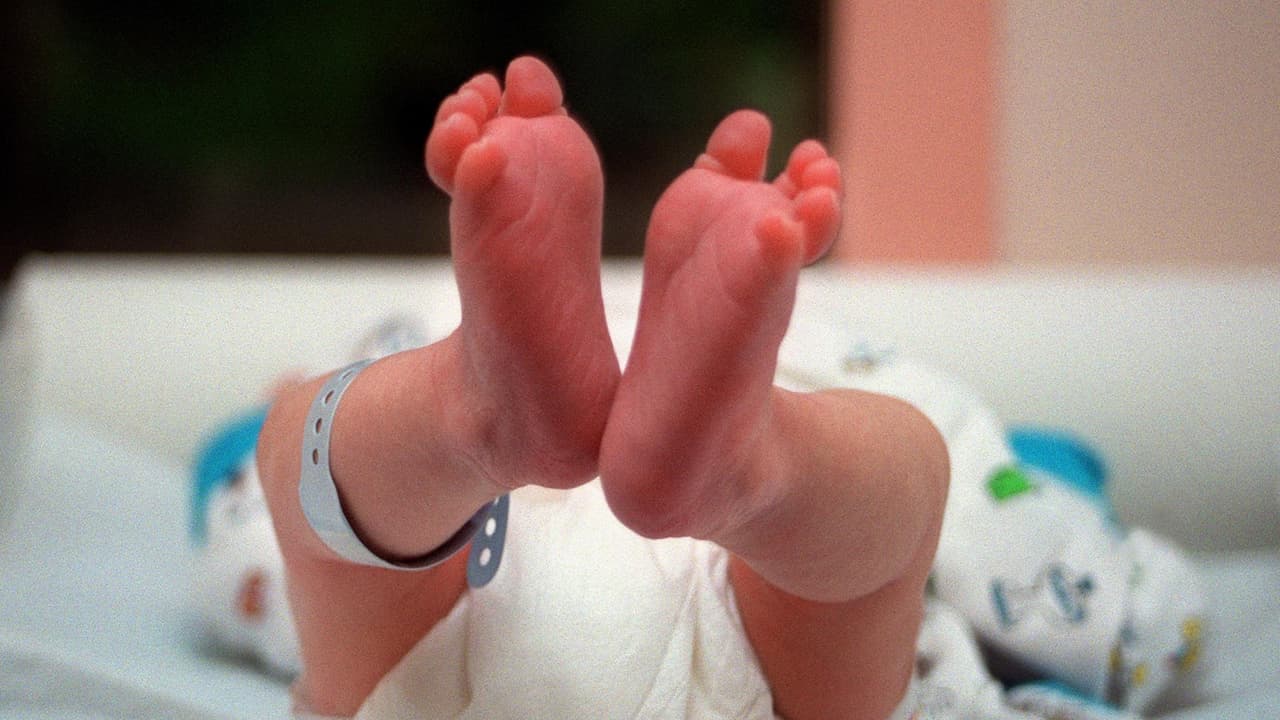 Nacimientos en EEUU aumentan por primera vez en siete años