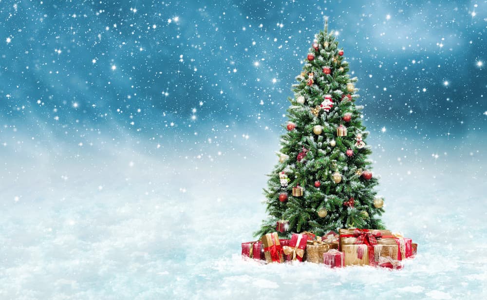 Cada Navidad es tradición infaltable de millones de personas reunirse para adornar el típico arbolito, con todos su adornos, esferas, luces y regalitos. Seguramente conoces a poquitas personas que en realidad no les guste lo bonito que quedan.