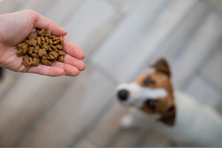 Un 'influencer' probó comida de perros para aumentar su musculatura, pero eso no es buena idea