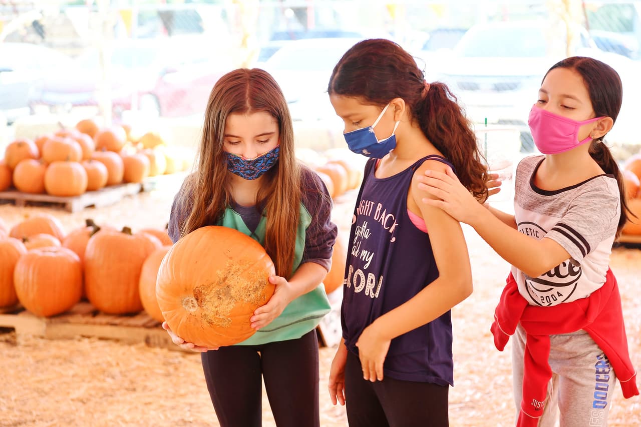 <b>Riviera Village Halloween Trick or Treat - Redondo Beach</b>
<br>Fantasmas y duendes se mezclan con princesas y superhéroes mientras Riviera Village organiza su popular paseo anual "Halloween Trick-or-Treat". Catalina Ave. estará cerrada al tráfico desde la Ave. I hasta Palos Verdes Blvd. Las tiendas repartirán dulces y golosinas al aire libre. 
<br>
<br>
<b>Dónde: </b>1799 South Catalina Ave., Redondo Beach, CA 90277 
<br>
<b>Horas: </b>De 3:00pm a 6:00pm
<br>
<b>Precio:</b> Gratis