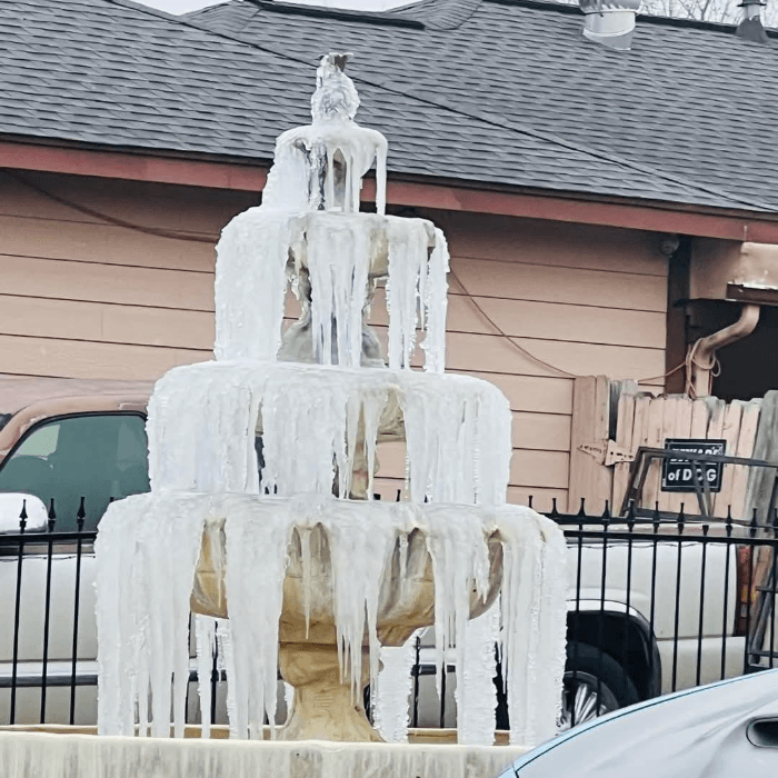 La tormenta invernal trajo una densa capa de nieve que cubrió la ciudad y varias zonas del centro de Texas. 
<br>
<br>Usuarios de Univision enviaron las imágenes de cómo vivieron la primer nevada del 2025.