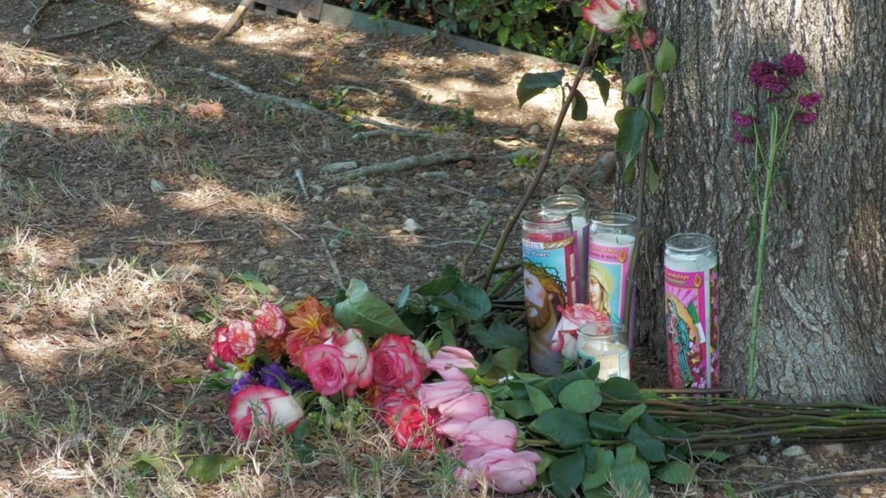 “Era una madre soltera y trabajadora (…) Amaba a todos sus hijos, celebraba sus logros y siempre los alentaba a luchar por más”, así es como familiares ahora recuerdan a Aurora Canales.