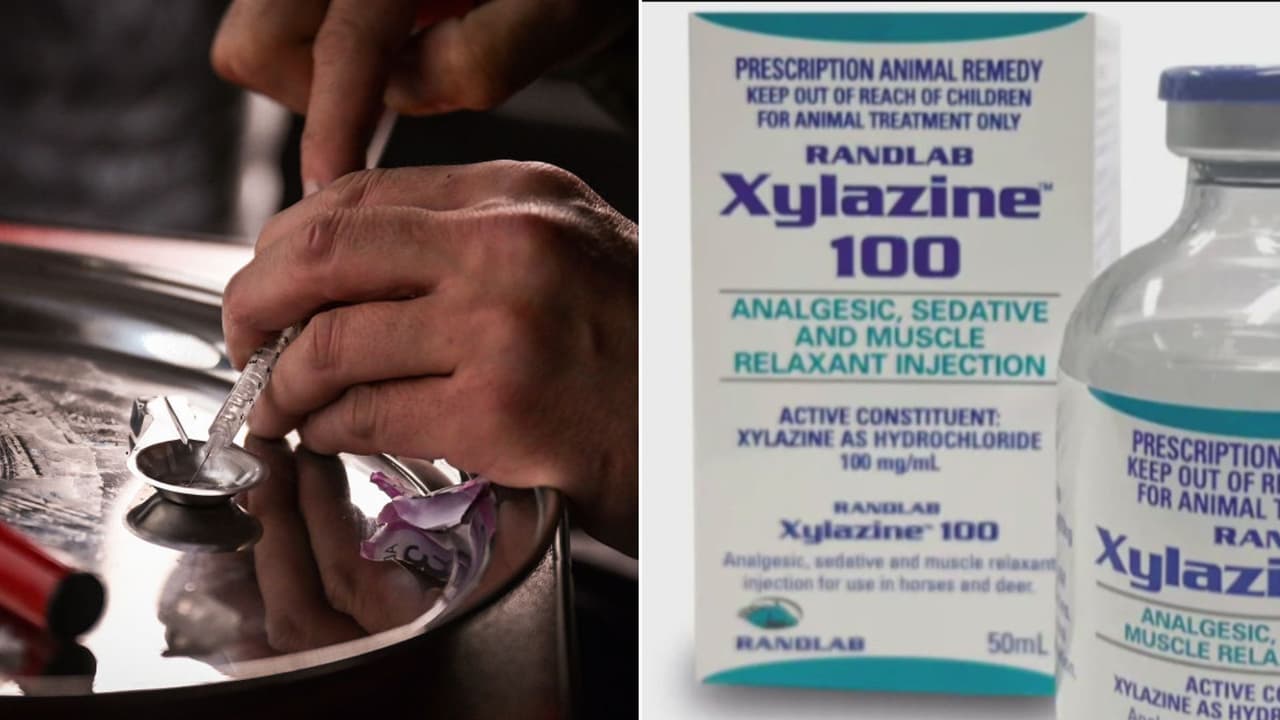“Son fáciles de obtener”: preocupación entre autoridades de Los Ángeles por el consumo de fentanilo y xylazine