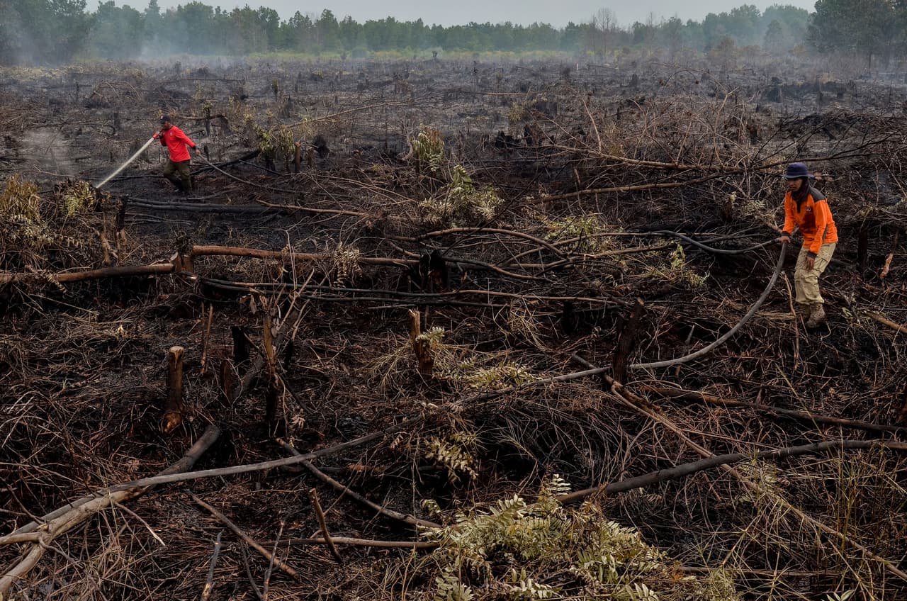 Los bomberos extinguen un incendio en Pekanbaru, Indonesia. Muchos de los fuegos forestales en ese país ocurren porque propietarios de terrenos queman la tierra para limpiarla y luego sembrarla. Los incendios de Indonesia han emitido más CO2 que toda la economía de EEUU en los años más recientes, según reporte de 
<a href="http://www.globalfiredata.org/">globalfiredata</a>, organización que cuantifica las emisiones de los incendios en el mundo. La fotografía es de febrero de 2018.