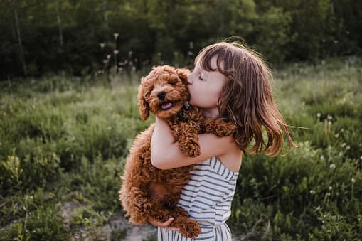 <b>No tengas miedo de consolarlos. </b>Una caricia puede hacer que su mascota se sienta más tranquila.