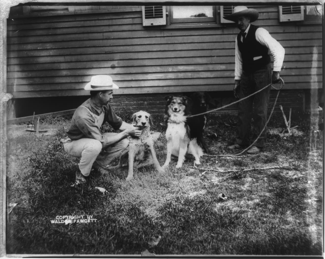 Dos de los perros que pertenecieron al presidente Theodore Roosevelt, quien ocupó la Casa Blanca desde 1901 hasta 1909. Según un reportaje de 
<a href="https://www.economist.com/blogs/graphicdetail/2017/07/daily-chart-9?fsrc=scn/tw/te/bl/ed/&utm_source=The+Point+with+Chris+Cillizza&utm_campaign=a25c76fc95-EMAIL_CAMPAIGN_2017_07_19&utm_medium=email&utm_term=0_a4165679e3-a25c76fc95-82108157">The Economist, </a>este presidente tuvo seis perros, al menos 10 caballos, dos gatos, una hiena y un oso. George Washington, el primer mandatario de EEUU, tuvo al menos 17 perros.