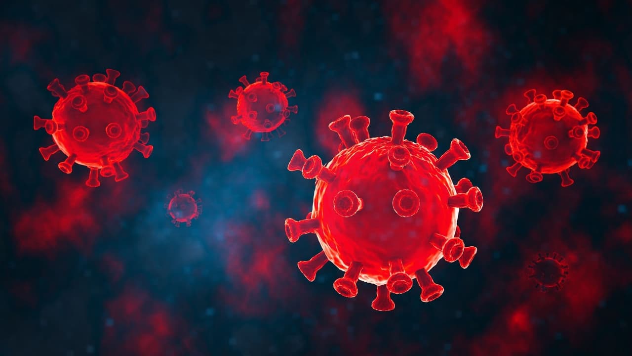 BA.5 ya es dominante en EEUU: esto es lo último que sabemos sobre la supercontagiosa variante de ómicron